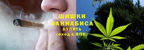 стаф Новодвинск
