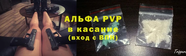 стаф Новодвинск