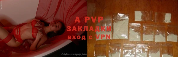 стаф Новодвинск