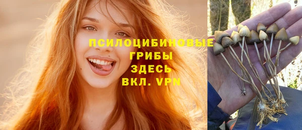 соль курить ск Новокубанск