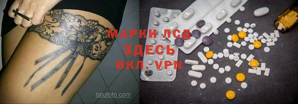 стаф Новодвинск