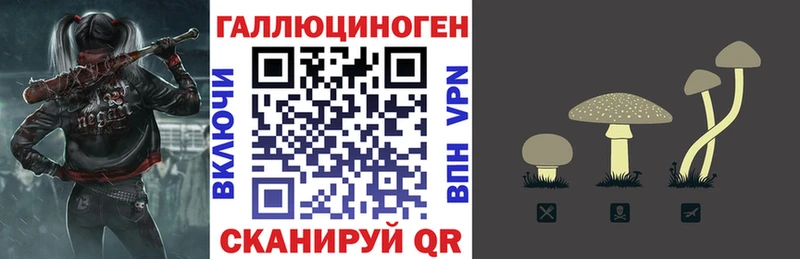 Псилоцибиновые грибы Psilocybe  закладки  Чегем 